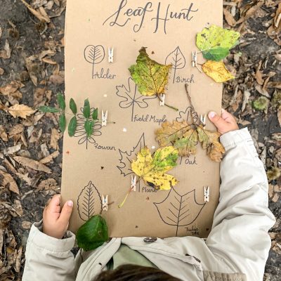 Leaf Hunt