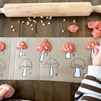Toadstool Counting